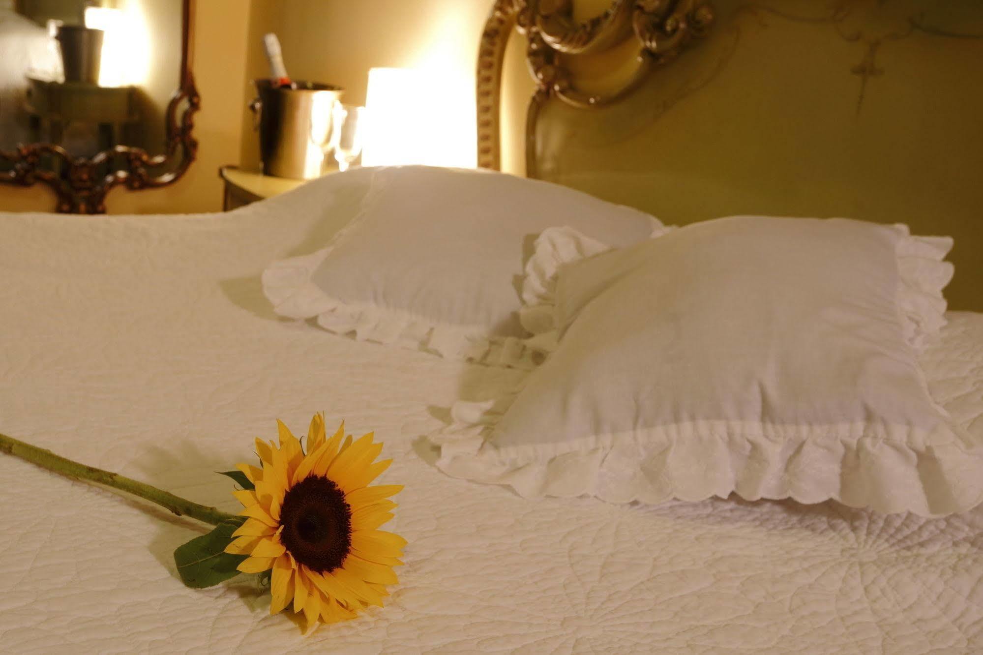 Bed & Breakfast - La Casa De Ceci Lima Exteriér fotografie